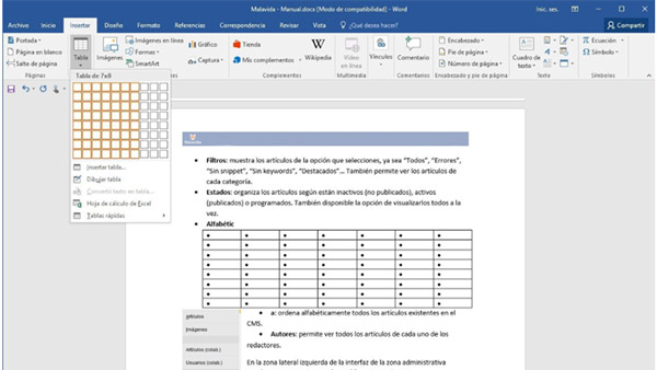 Office Word